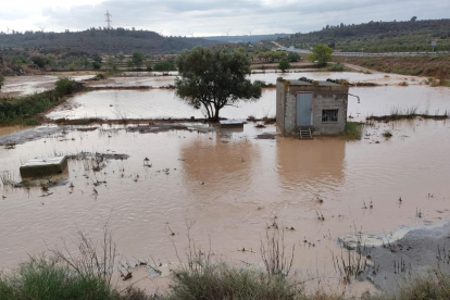 Campos de Torrebesses quedaron totalmente inundados tras la tromba de agua. 
