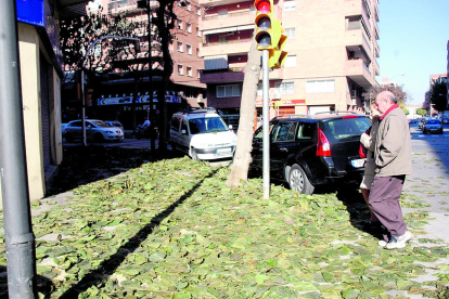 Fulles caigudes en un carrer de Lleida.