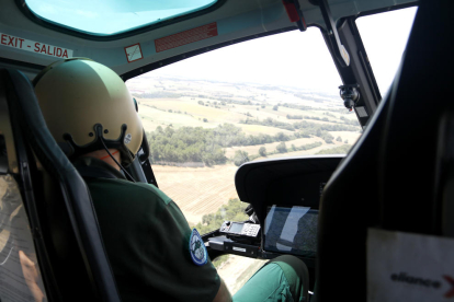 Balanç positiu provisional de la campanya de prevenció d'incendis en la sega gràcies a les darreres pluges