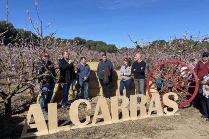 Inauguración de las rutas por las fincas en flor de Alcarràs.