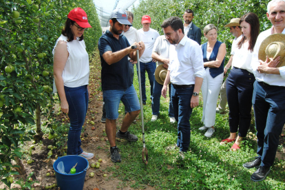 El President visitó la finca experimental del IRTA en Mollerussa. 