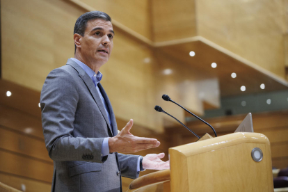 El presidente del Gobierno, Pedro Sánchez, interviene durante su segundo 'cara a cara' en el Senado.
