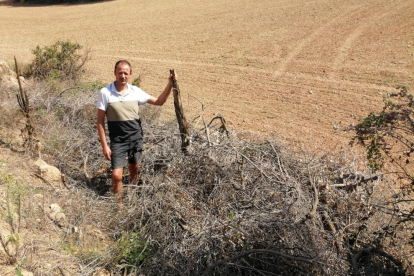 Gerard Mollet, agricultor de Bassella, en una de sus fincas con restos agrícolas. 