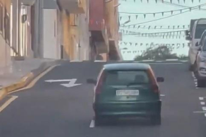 Busquen una conductora que va ser gravada intentant abandonar un gos a Tenerife