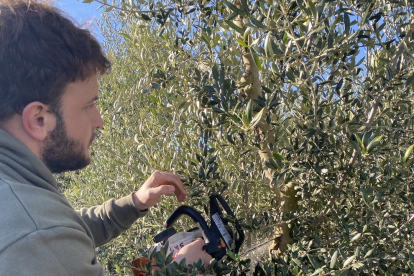 Un agricultor corta ramas de un olivo.