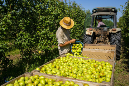 Los productos más vendidos al exterior sieguen siendo los del sector de la alimentación, como la fruta.