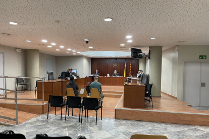 El judici es va celebrar el passat 5 d’octubre a l’Audiència de Lleida.