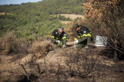 Una de les tasques dels agents rurals és prevenir els incendis i investigar-ne les causes.
