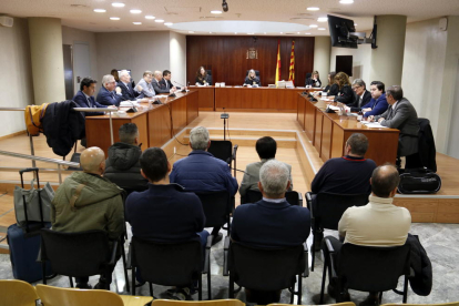 Els 8 acusats de vendre cries de falcons robades d'una empresa del Solsonès, a l'Audiència de Lleida, en el moment en què les parts han acordat les condemnes per a 5 d'ells i la retirada de càrrecs per als altres 3