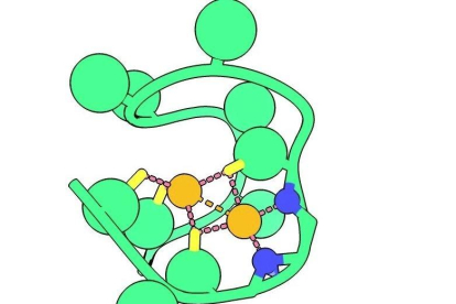 Una representación por ordenador del péptido Nickelback muestra los átomos de nitrógeno de la columna vertebral (azul) que unen dos átomos críticos de níquel (naranja).