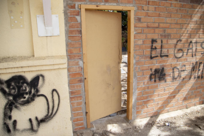 Un dels gats que viuen a les les instal·lacions de l’antiga discoteca Hill de Gardeny, ara decrèpites.