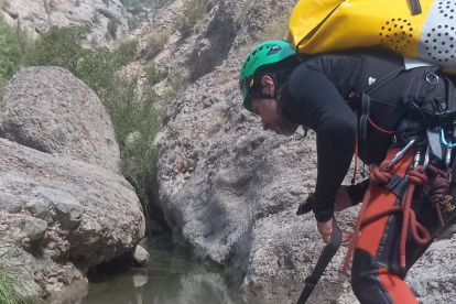 Imagen del rescate de un buitre ayer en La Pobla de Segur. 