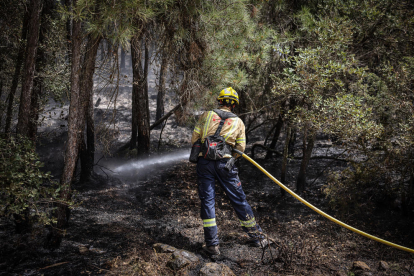 Un bombero remoja terreno quemado al término de Castellar de la Ribera, en el Solsonès, cerca del fuego de Lladurs.