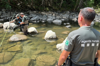 Una cisterna llenando el depósito de agua de boca del núcleo de Cortàs, en Bellver.