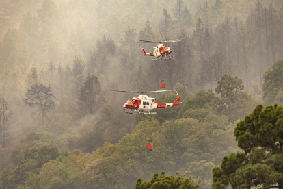 Efectivos de la Unidad Militar de Emergencias (UME) tratan de apagar las llamas de un foco del incendio en Tenerife.