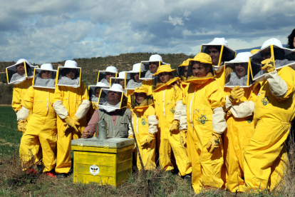 Trasladan 20.000 abejas al Solsonès desde Viladecans para salvarlas