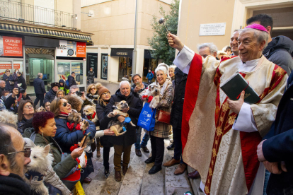 El obispo de Lleida bendiciendo mascotas ayer. 