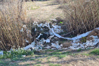 Un abocament incontrolat de residus a l’Horta l’any passat.