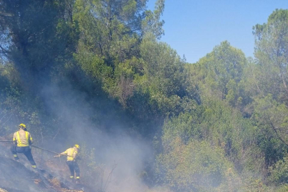 Un bombero apagando llamas en el incendio de Tenerife, que ya ocupa una superficie de más de 12.800 hectáreas.
