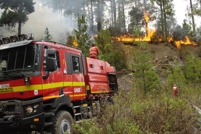 Un bomber apagant flames en l’incendi de Tenerife, que ja ocupa una superfície de més de 12.800 hectàrees.