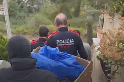 Detinguts 'jardiners' de marihuana de Lleida per robatoris en domicilis