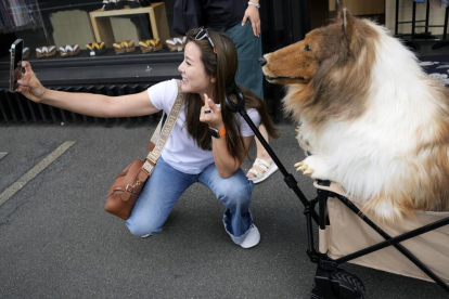 Un japonés se gasta 12.000 euros para 'convertirse' en perro
