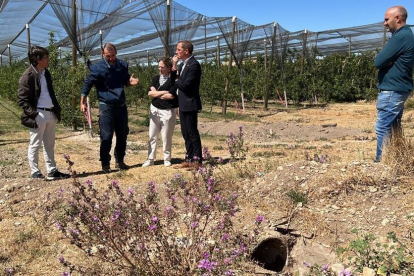 Visita del subdelegat del govern espanyol a Lleida, José Crespín, i de representants d'Afrucat a una finca de Miralcamp (Pla d'Urgell) on s'està fent una actuació per poder tornar a regar a manta.