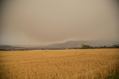 El humo del incendio de Baldomar, visible ayer desde Tremp.  