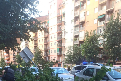 Danys per la tempesta i el granís a les comarques de Lleida