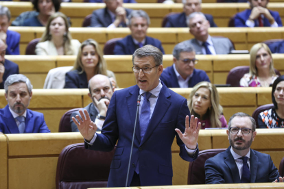 Pedro Sánchez va participar ahir en sessions de control al Congrés i al Senat.