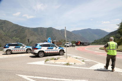 L’os, ahir al costat de la carretera del port de la Bonaigua a Alt Àneu.