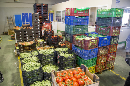 L’alcalde, Miquel Pueyo, i la regidora de Comerç, Marta Gispert, van visitar ahir el Mercat Central de Fruites i Verdures de Lleida.