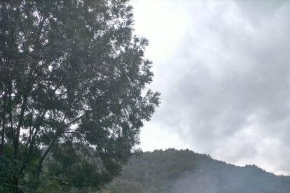 L’incendi que va causar la tempesta a l’àrea boscosa de Les.