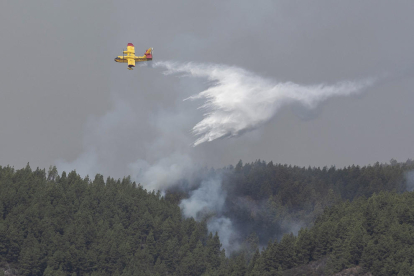 Un hidroavió de l’Exèrcit de l’Aire ahir en les tasques d’extinció a la zona de Güímar.