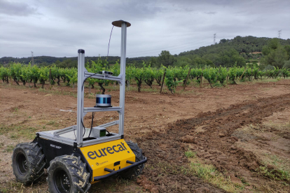 Robòtica i automatització,claus per a la competitivitatdel sector agrícola
