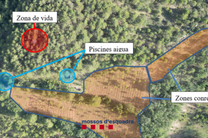 Croquis de la distribución de la macroplantación, con riego y zona de vida para los vigilantes. 