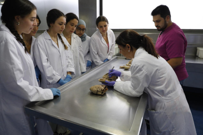 Alumnos de segundo de Medicina, atentos a las explicaciones en la asignatura de Aparato Cardiorespiratorio.