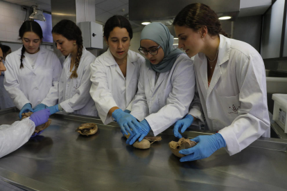 Alumnes de segon de Medicina, atents a les explicacions en l’assignatura d’Aparell Cardiorespiratori.