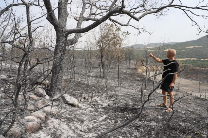 El alcalde de Alòs de Balaguer, en una zona forestal calcinada.