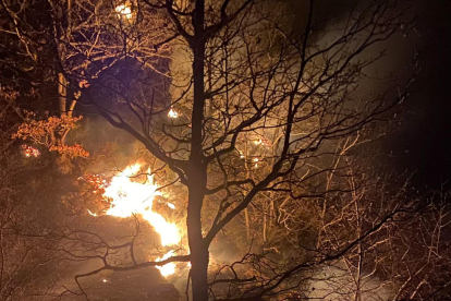 Estabilizado el fuego de Canejan, que ha quemado unas 250 hectáreas