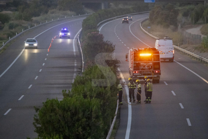 Efectius dels bombers treballant ahir en l'incendi