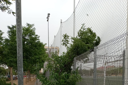 El vent també va danyar el camp de futbol del Balàfia.