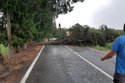 El viento también dañó el campo de fútbol del Balàfia.