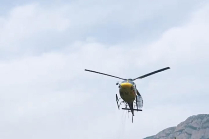 Un agent rural mostra l’impacte d’un llamp en un arbre que va originar l’incendi de Lladurs.