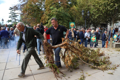 Els pagesos van bloquejar la porta de la subdelegació amb els arbres com a protesta.