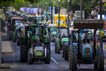La tractorada de Lleida del 9 de maig passat.