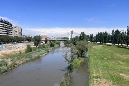 La asamblea de regantes del canal Segarra-Garrigues celebrada ayer en Tàrrega.