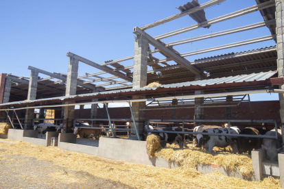 En Alguaire el viento arrancó el tejado de una granja de vacas. 
