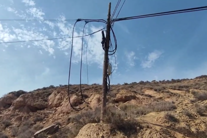 Treballen per reestablir els 300 metres de cable que ha deixat sense Internet i telèfon tot el complex de la Caparrella de Lleida