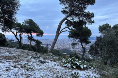 La muntanya de Collserola enfarinada a primera hora del matí